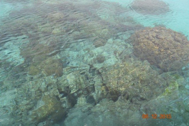Coral reefs on the way from Thinakara to Agatti