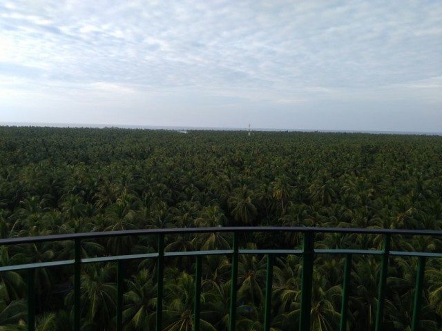 View from Light House 2