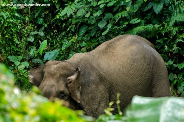 You know the name of it :-)