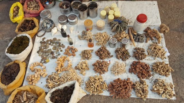 जड़ी-बूटियाँ