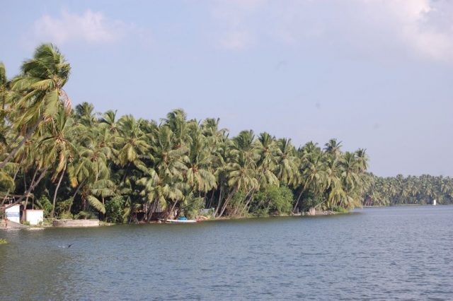 Backwaters