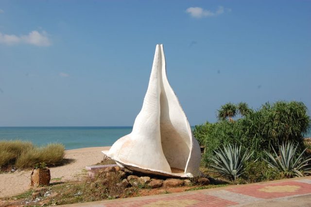 Conch at shangutharai